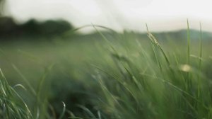 Помоги мне Господи, помоги