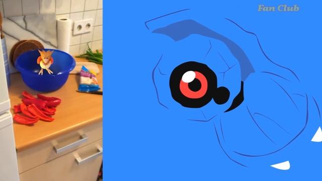 Покемон ГО: смешные места нахождения покемонов | приколы 2016 | Pokemon GO смотреть онлайн