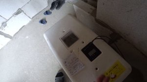 Все секреты инкубации УТИНЫХ яиц в инкубаторе НЕСУШКА.