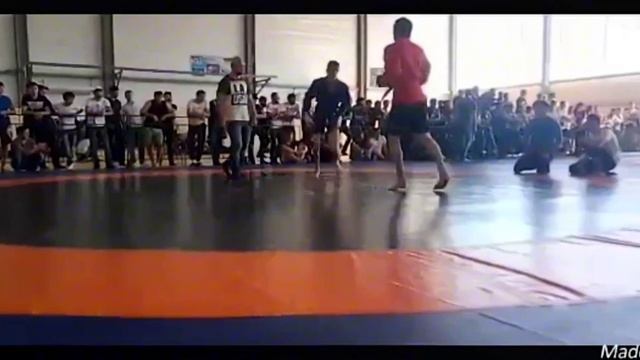 Чемпион мира по кикбоксу 76кг смотреть онлайн