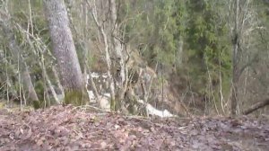 Я хочу писать)))