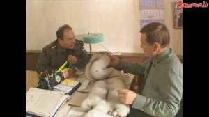 Солдаты Шматко продает ПИСЕЦ