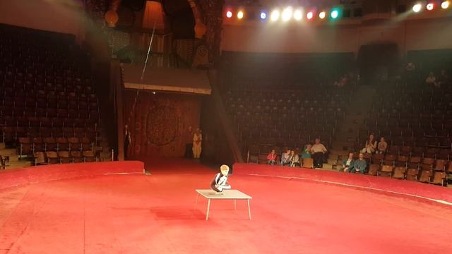 Contortion .Aleksandr Tomilin. Kyiv International Circus Festival 2016 смотреть онлайн