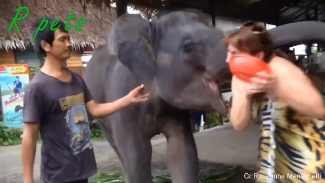 🤣смех лучше всё давай давай не унывай, 308 секунд смеха🤣 смотреть онлайн