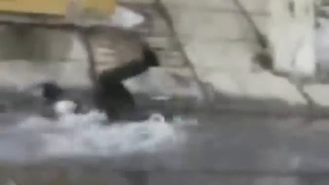 SmileWorld выпуск №3 "Приколы с алкашами" смотреть онлайн