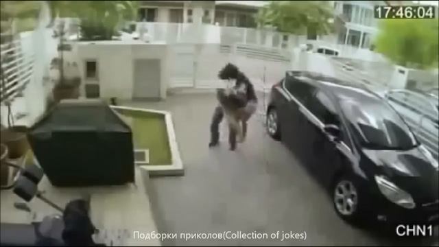 Новая подборка видео приколов,только лучшее-A new selection of video gags, only the best смотреть онлайн