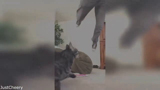 прикольные приколы, смешные приколы, приколы про, приколы с, приколи, приколы на, смотреть приколы смотреть онлайн