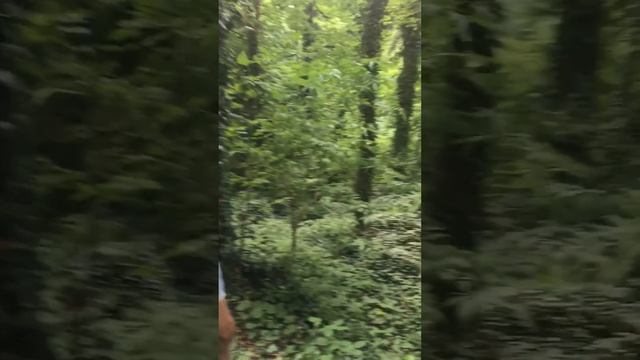 Пещера в Лагодехи смотреть онлайн