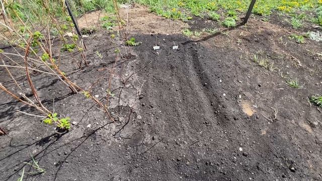 Вымыла окна, двери. Навела порядок смотреть онлайн