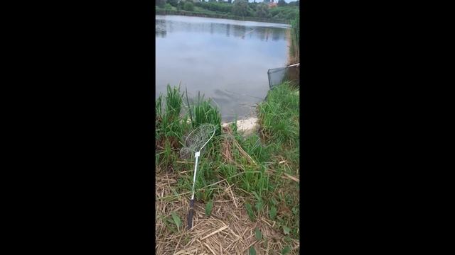 Рыбалка на толстолоба в с. Копачев. Прикол на рыбалке - сломали подхватку. смотреть онлайн