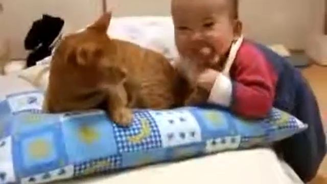 Кот Я спокоен, я спокоен, я спокоен! смотреть онлайн