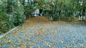 Лезги прикол Шакир.prikol.