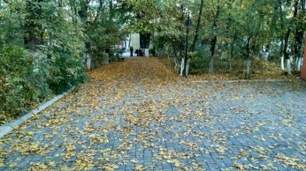 Лезги прикол Шакир.prikol.