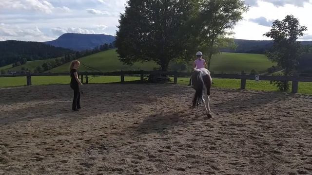 Pferd Reiten . Кони тоже пони. Урок езды на лошади. Дети и лошадки .Австрия как дети ездят на лошад