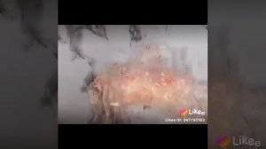 Истории из лайка +смешные видео малолеток 😂