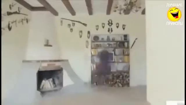 Прикольные шутки смотреть онлайн