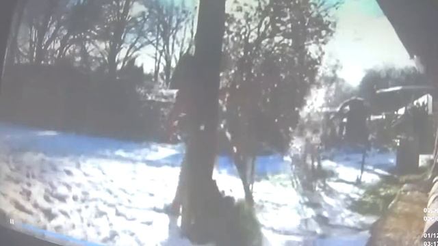 Русские сибиряки за рубежом смотреть онлайн