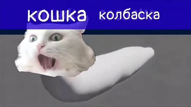 кошка колбаска смотреть онлайн