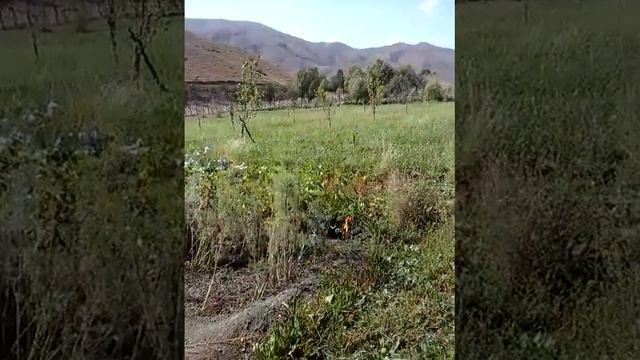 Дом из саманого кирпича своими руками смотреть онлайн