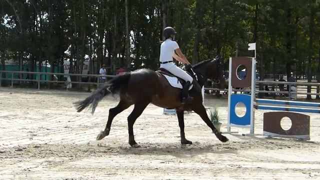 GOF 2017 - Cso Club2 Equipe Excellence Charlotte & Dring смотреть онлайн