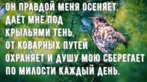 Величит душа моя Бога - минус мой 2