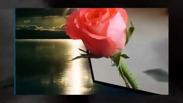 Колыбельная для мужчин Александр Каменский смотреть онлайн