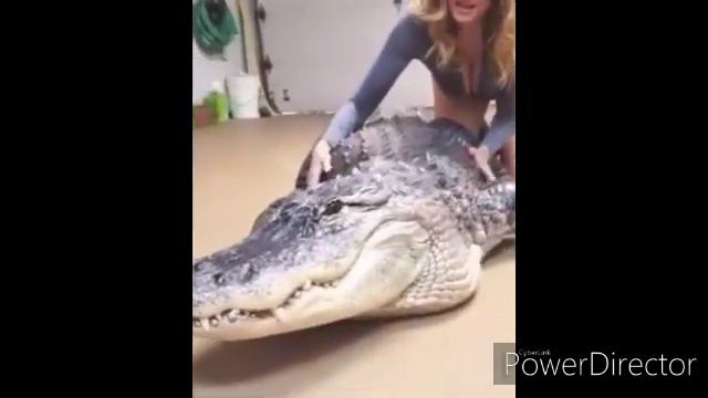 Приколы из в ВКонтакте (5 часть) смотреть онлайн