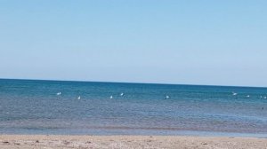 video_2025-04-29_12-53-08