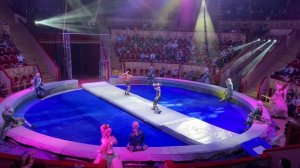 Акробатическая Дорожка!!!