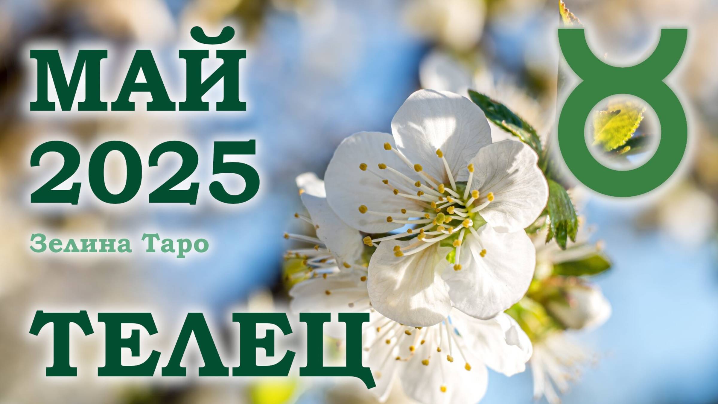 ТЕЛЕЦ | ТАРО прогноз на МАЙ 2025 года | Желание | Расклад таро | Таро онлайн