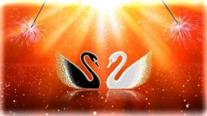 4K. Бесплатный проект для Blufftitler.