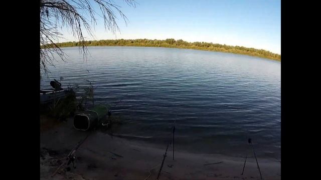 РЫБАЛКА НА ДОНУ В ВОЛГОГРАДСКОЙ ОБЛАСТИ. ЛОВЛЯ САЗАНА И КАРАСЯ. ВЫЛОВИЛИ ДОНСКОГО МОНСТРА!!! смотреть онлайн