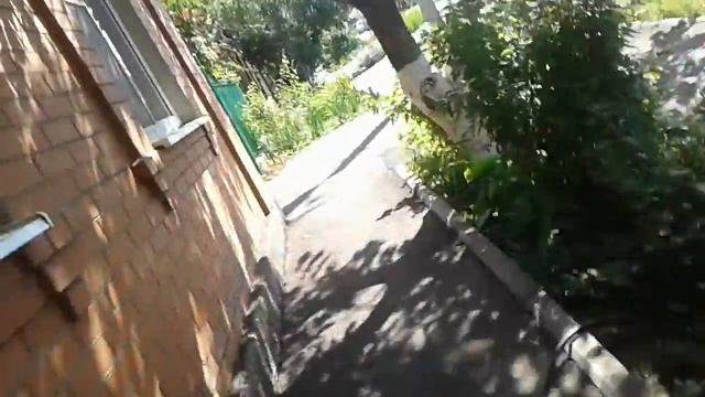 Немного помогли собаке и прикольнулись деньгами смотреть онлайн