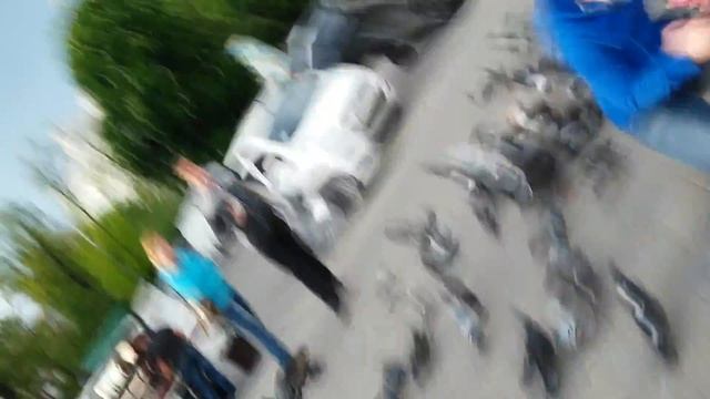 ПРИКОЛЬНЫЕ Голодные голуби Мариуполя смотреть онлайн