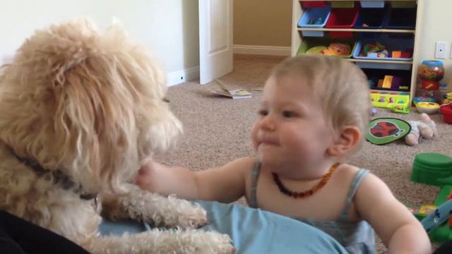 Дети приколы!Дети и любимые питомцы.\Funniest Animals смотреть онлайн