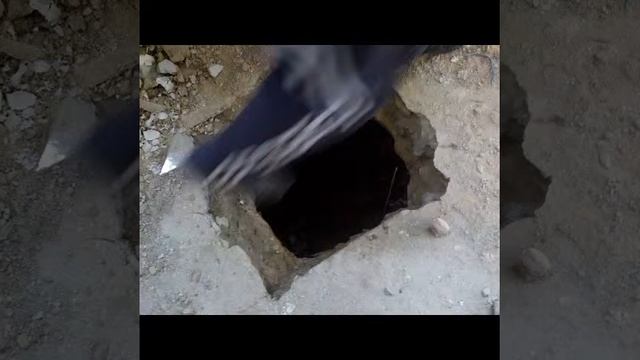 Клип мой клим смотреть онлайн