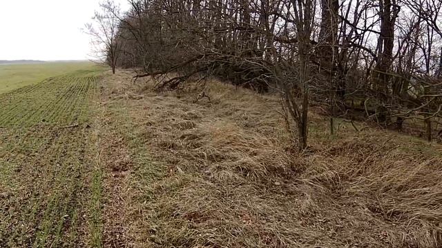 ОХОТА НА ЗАЙЦА (неизданное)