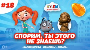 Спорим, ты этого не знаешь? | Калининград | Хомлины | Янтарь #калининград #янтарь #детскоерадио