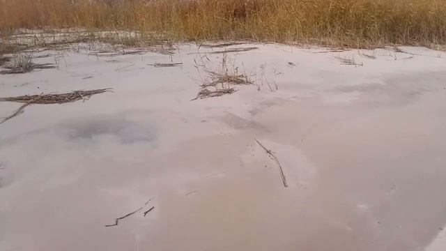 Цимлянское водохранилище.Красотища