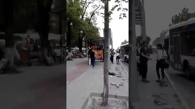 Бык сломал стекло прям на остановке,прямо на глазах смотреть онлайн