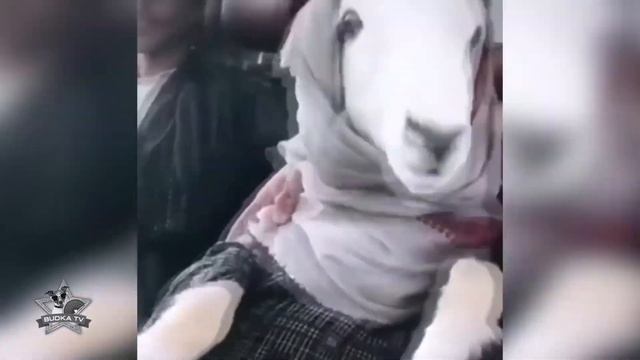 НЕЖДАНЧИК l НОВЫЕ ПРИКОЛЫ 2018 l СМЕШНЫЕ ВИДЕО #37 Будка ТВ смотреть онлайн