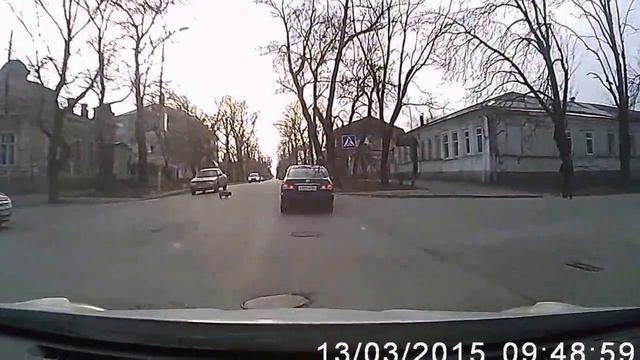 Испуганная собака на пешеходном переходе смотреть онлайн