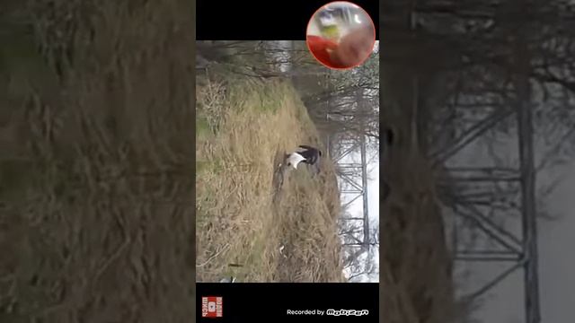 Смотрим приколы с водой во рту #1 смотреть онлайн