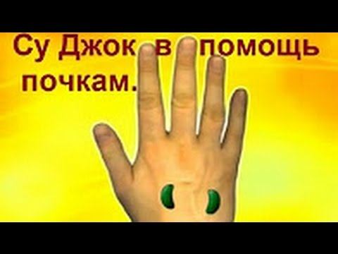 СУ ДЖОК В ПОМОЩЬ ПОЧКАМ.