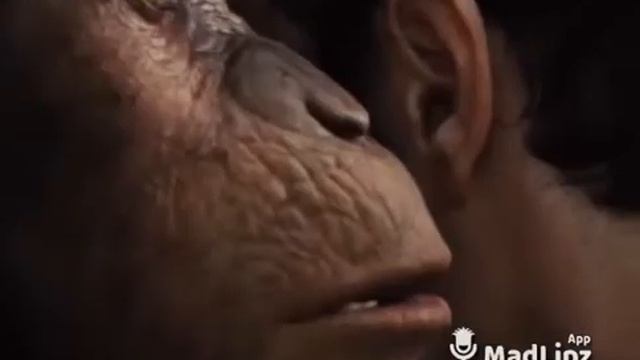 Цыганские приколы