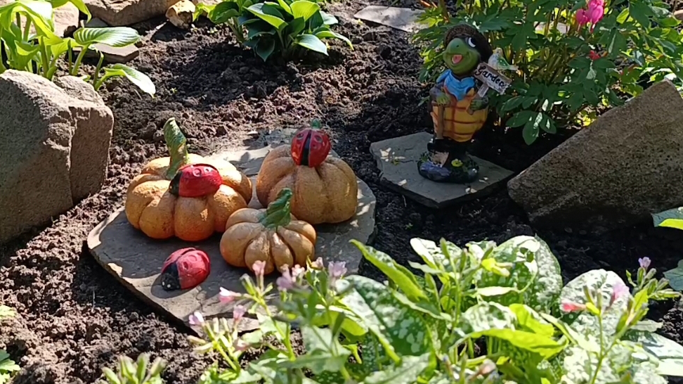 30-04-2025 Шок шоковый🥺. смотреть онлайн