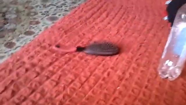 3D ручка нашлась! Прикольная игра Avakin Life! Советую её. смотреть онлайн