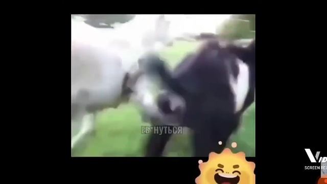 Колокольчик звенит смотреть онлайн