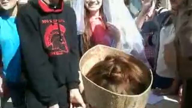 Загс в санатории ( Прикол ) смотреть онлайн