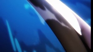 Битва Красноволосого Шанкса Против Юстасса Кида! Red Hair Shanks VS Eustass Kid!